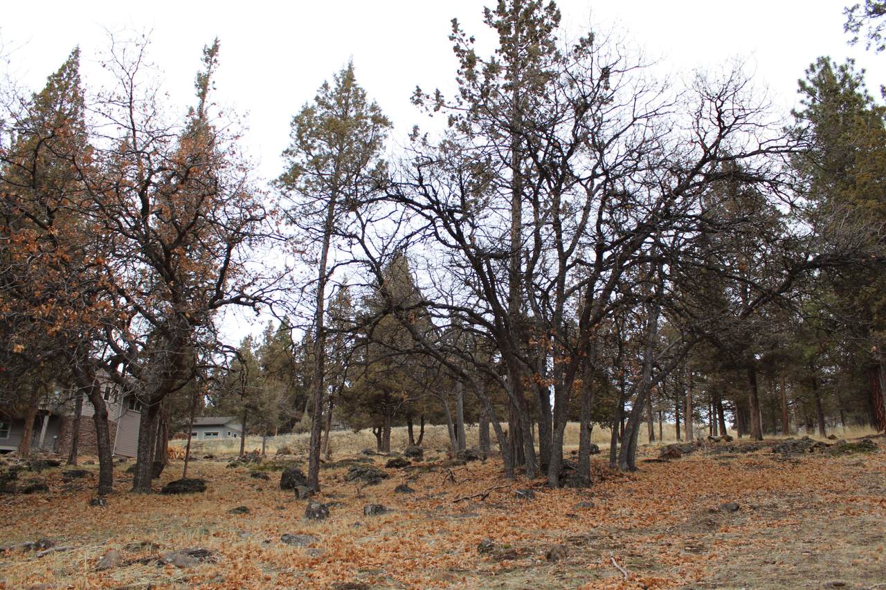 https://bt-photos.global.ssl.fastly.net/coar/1280_boomver_1_220222032-2.jpg