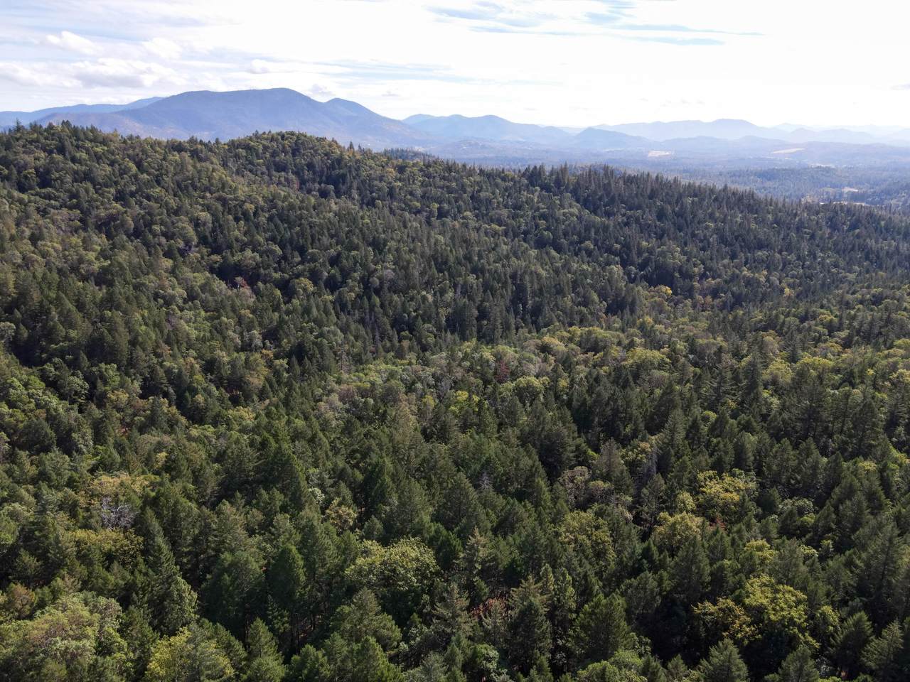  Quartz Creek Road - Photo 1