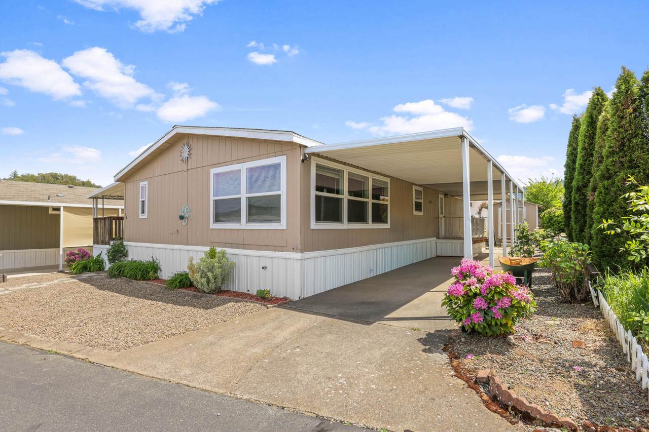 8401 Old Stage Road - Photo 1