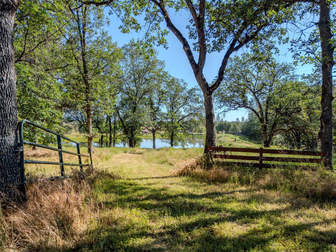 11775 Michael Road - Photo 1