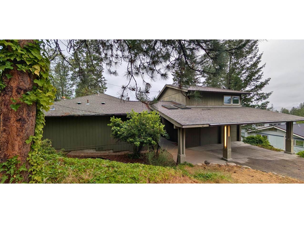 1105 Ivy Lane - Photo 1