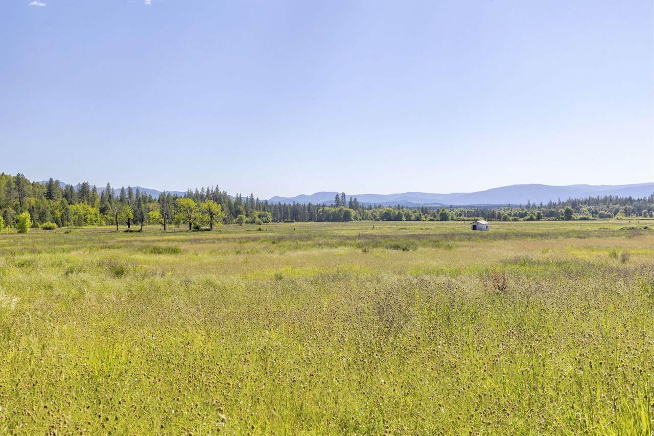 5005 Caves Highway - Photo 1