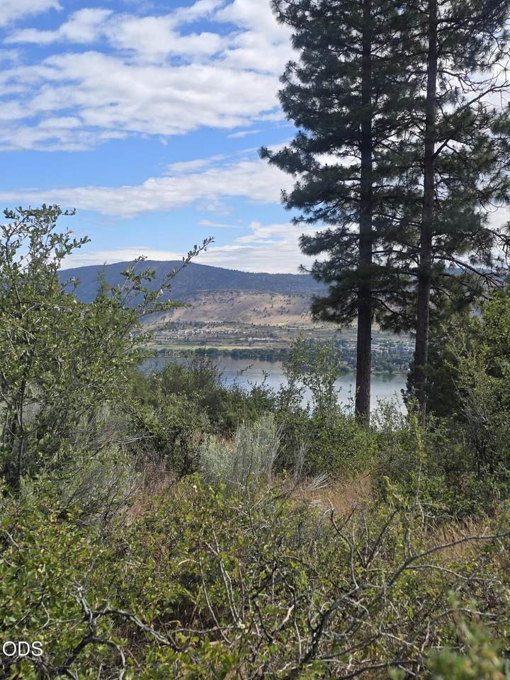 857 Bailey Mountain Road - Photo 1