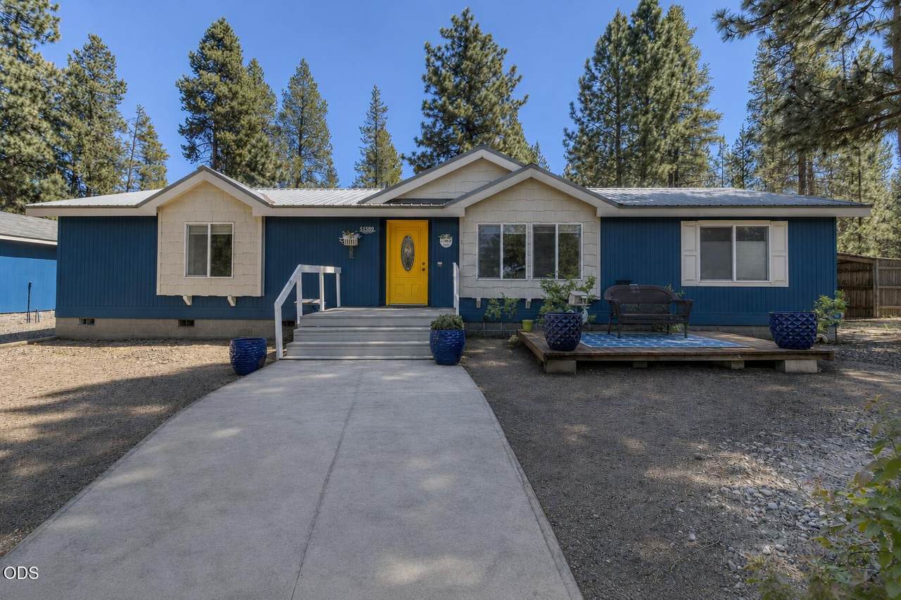 51599 Ash Road - Photo 1