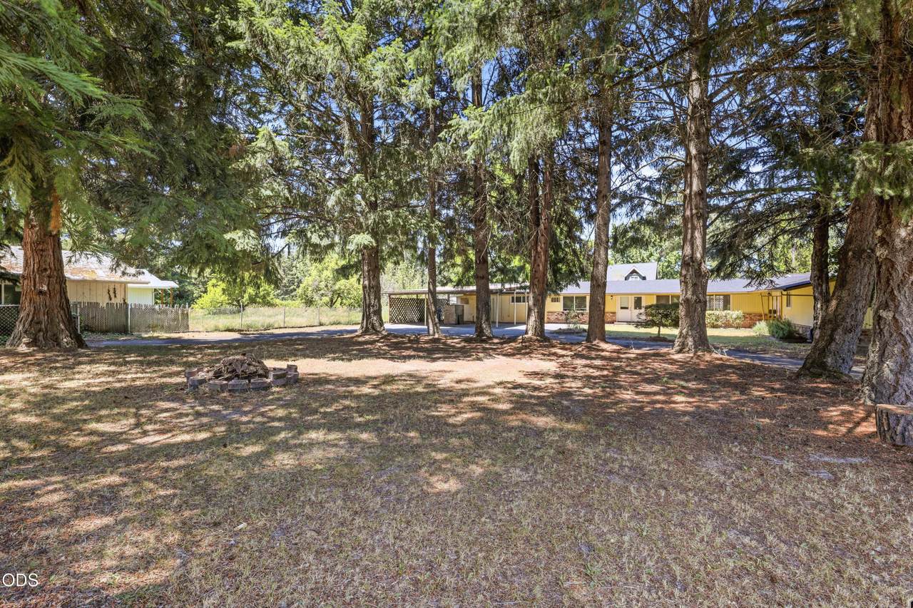 1980 Mccarter Lane - Photo 1