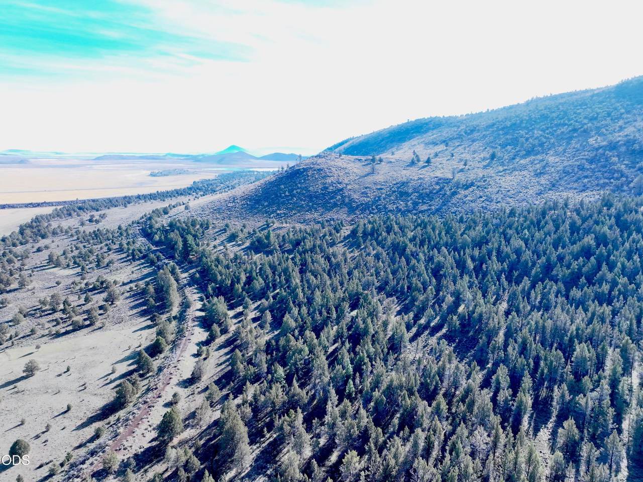 0 Bear Valley Road - Photo 1