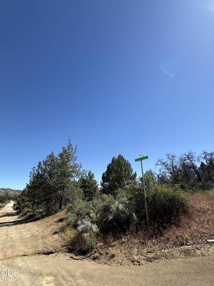 0 0300 Sprague River Drive - Photo 1