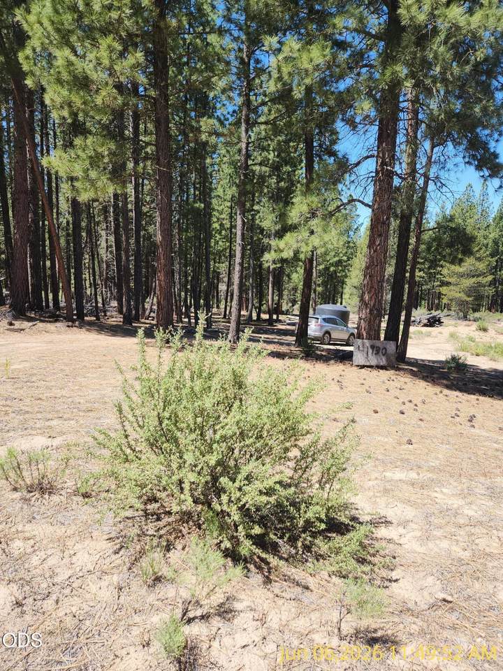 0 Green Forest Drive - Photo 1