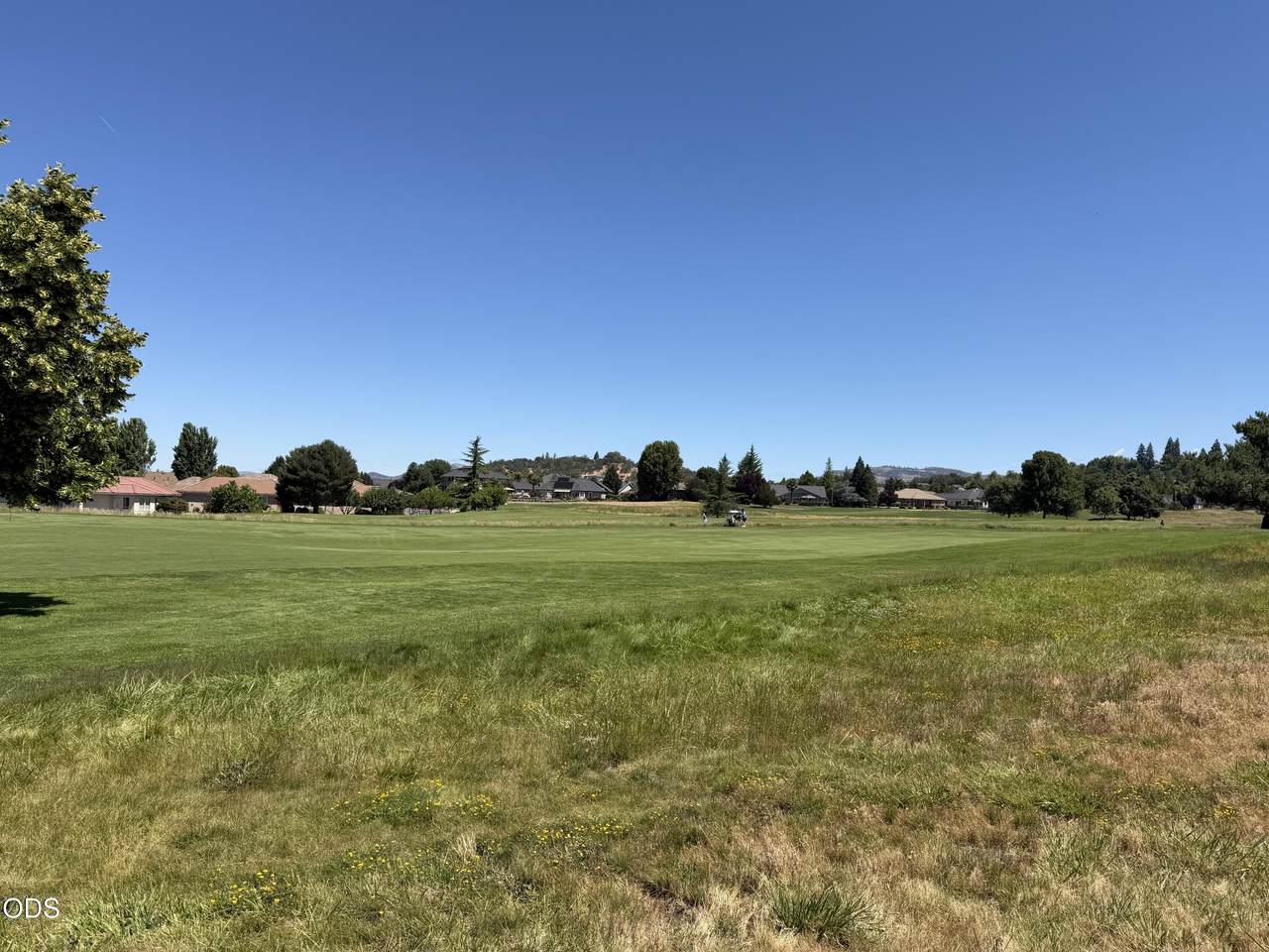  Robert Trent Jones Boulevard - Photo 1