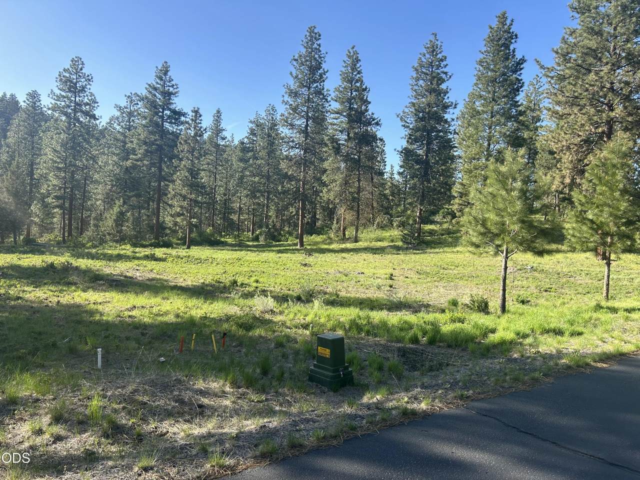 1082 Paper Birch Way - Photo 1