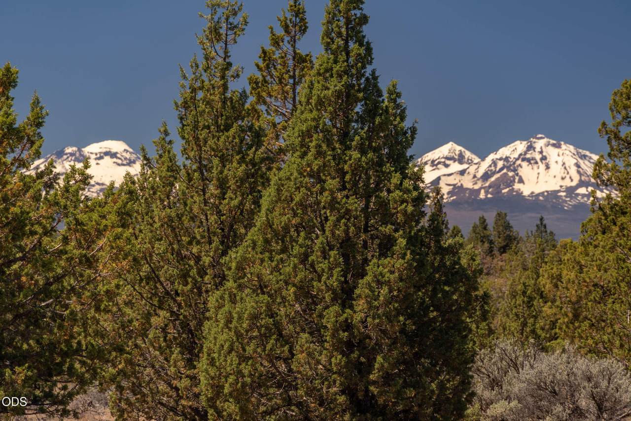 https://bt-photos.global.ssl.fastly.net/coar/1280_boomver_1_220223341-2.jpg