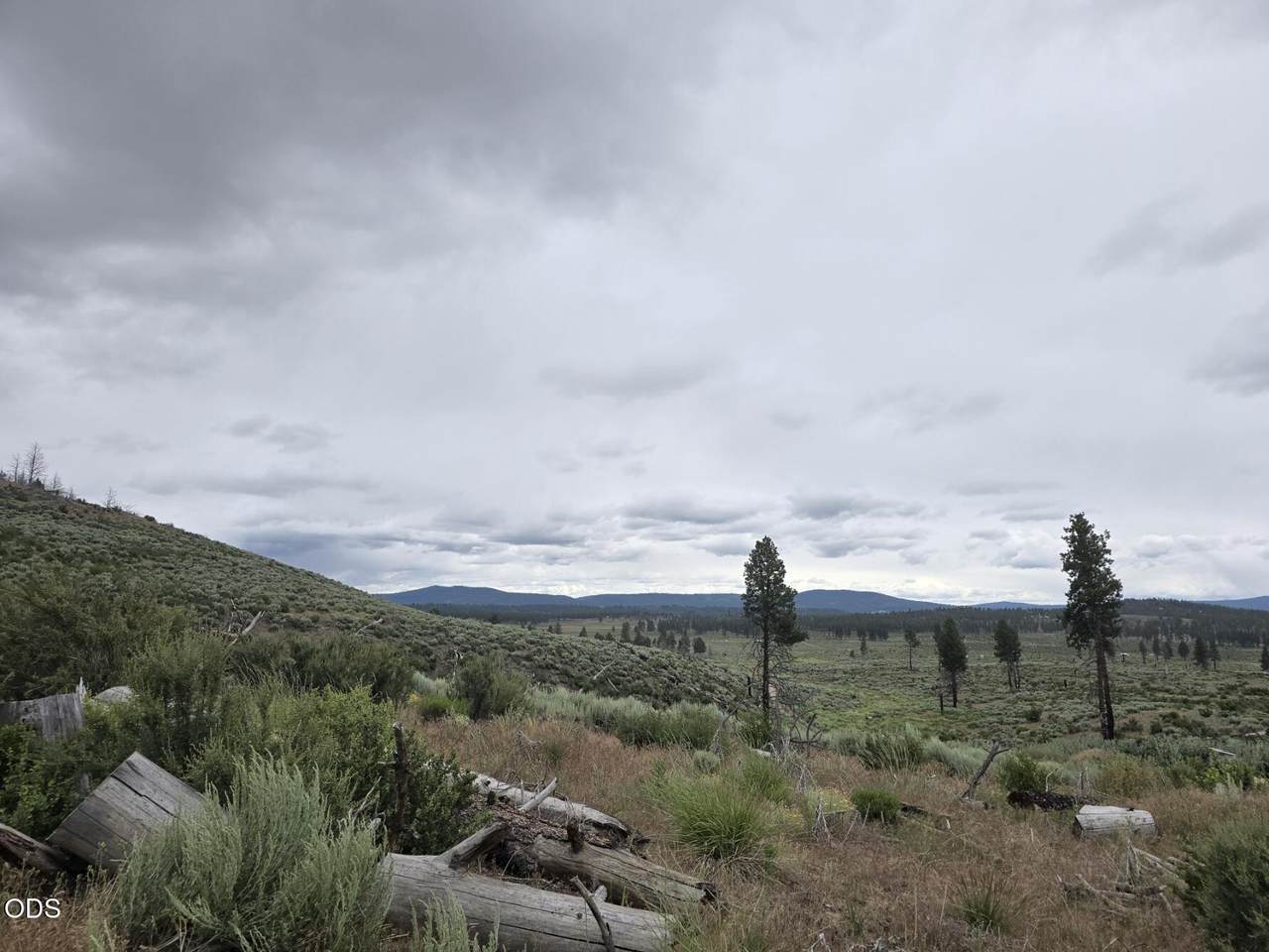 https://bt-photos.global.ssl.fastly.net/coar/1280_boomver_1_220223412-2.jpg