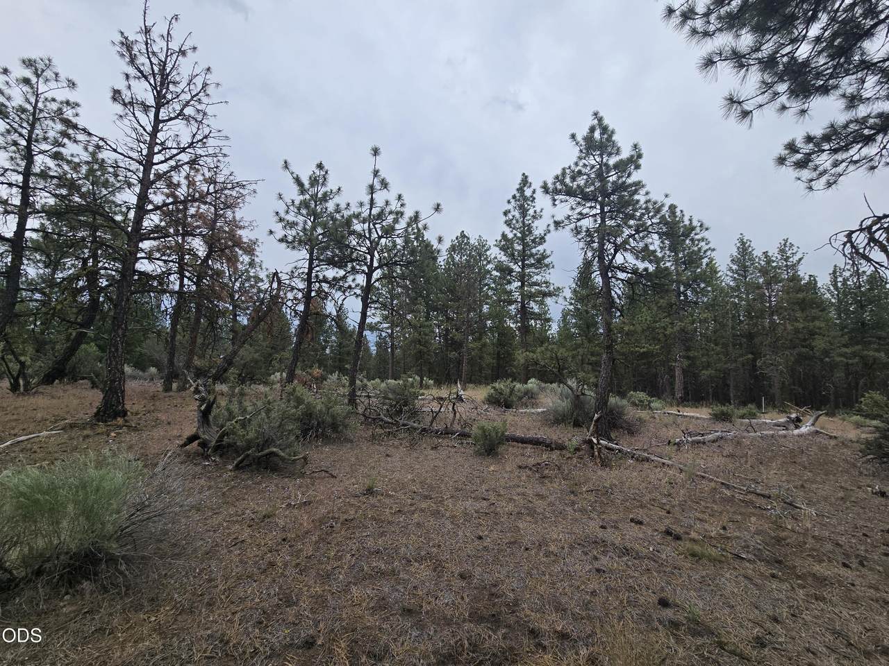 https://bt-photos.global.ssl.fastly.net/coar/1280_boomver_1_220223429-2.jpg