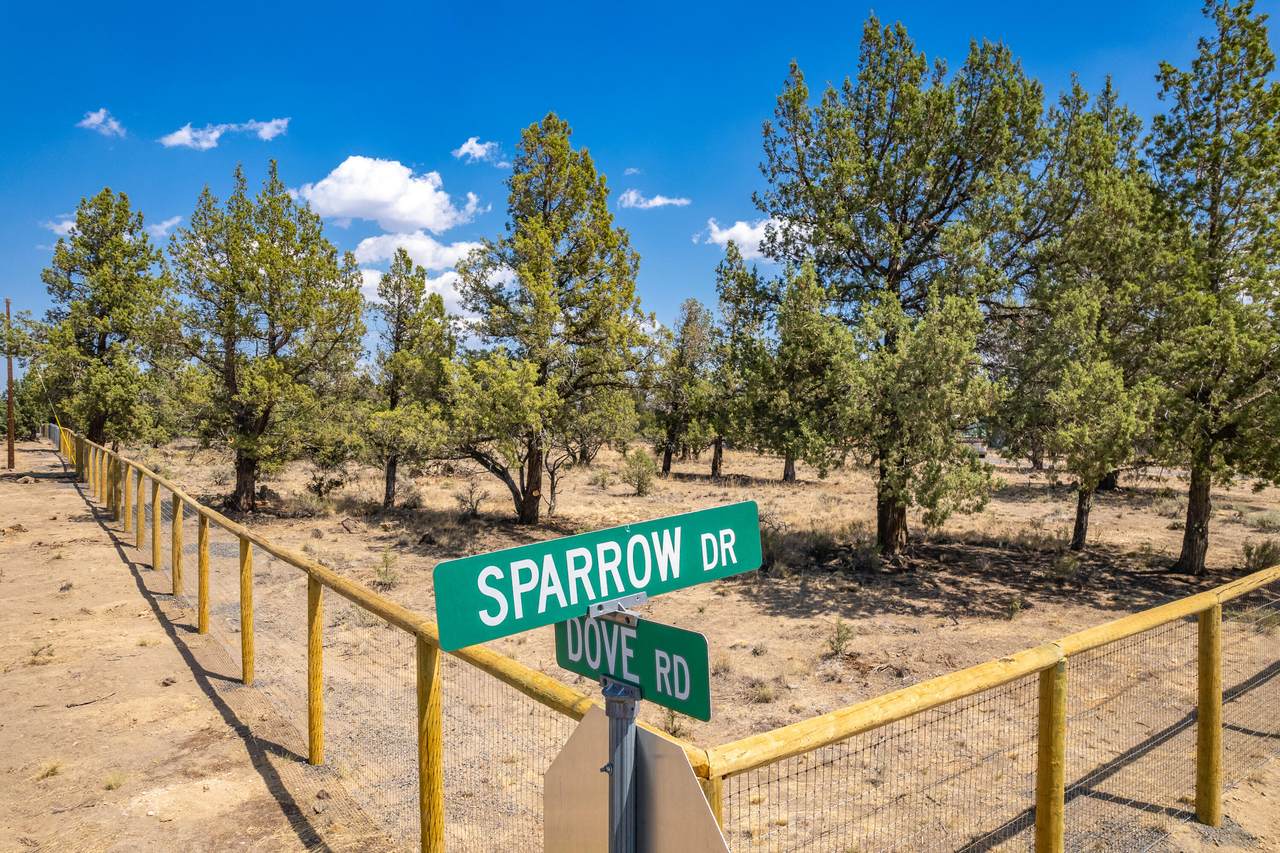 Sparrow Drive - Photo 1