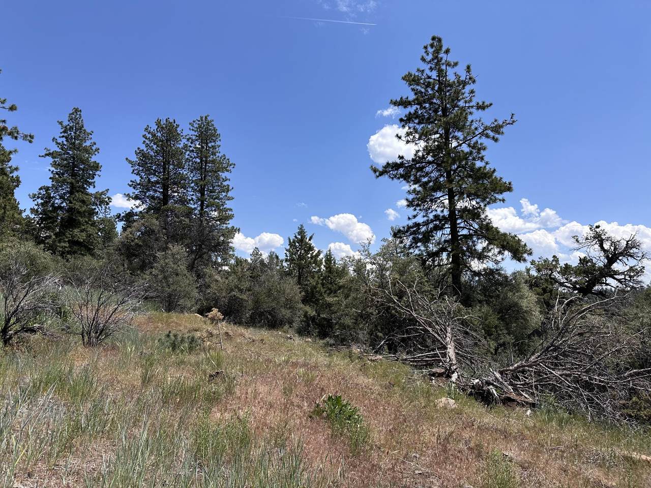 https://bt-photos.global.ssl.fastly.net/coar/1280_boomver_1_220223890-2.jpg