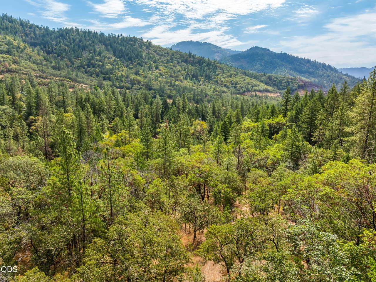 1230 Jones Creek Road - Photo 1