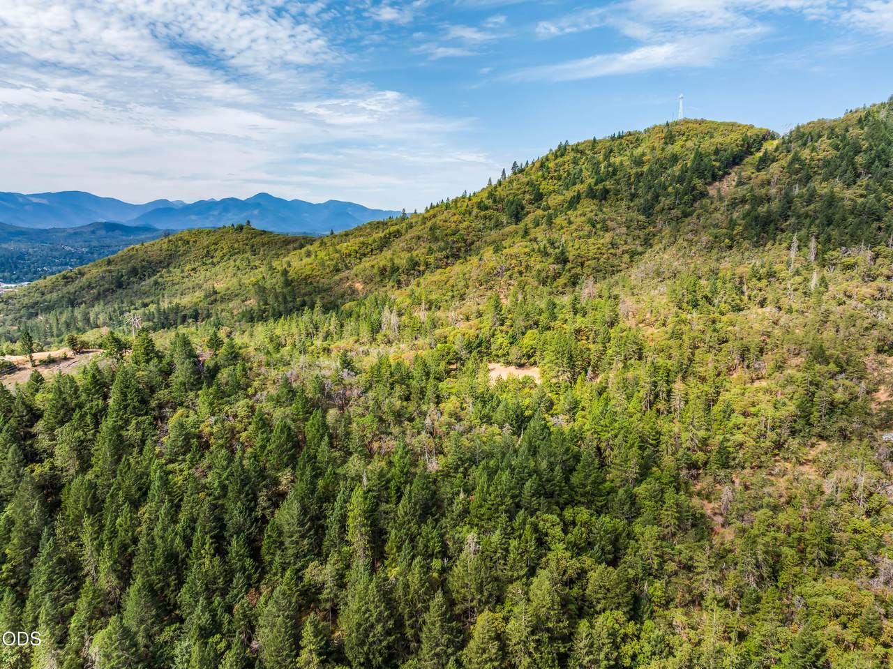 1238 Jones Creek Road - Photo 1