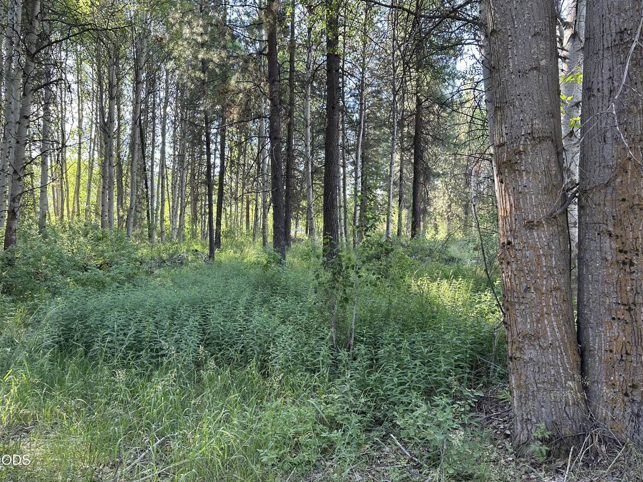 0 Highway 62 - Photo 1