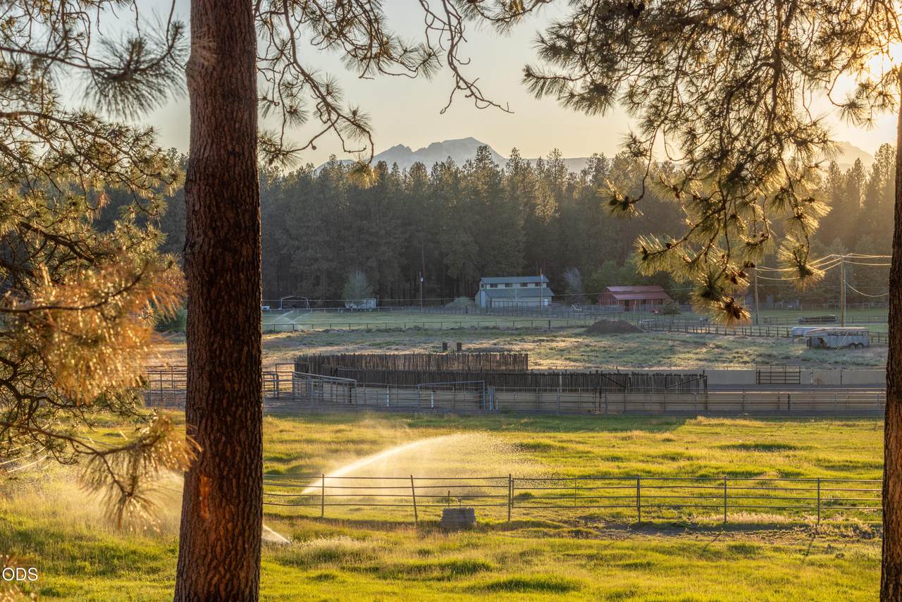 60266 Tekampe Road - Photo 1