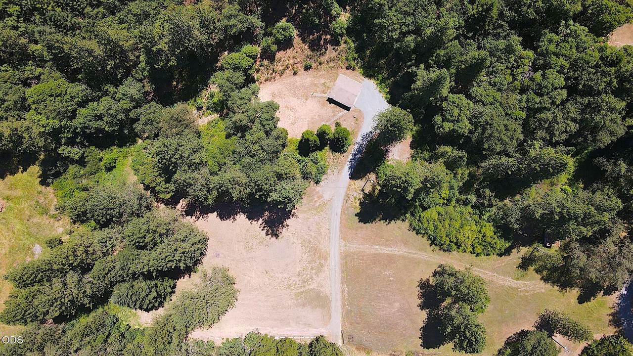 11230 Lower River Road - Photo 1