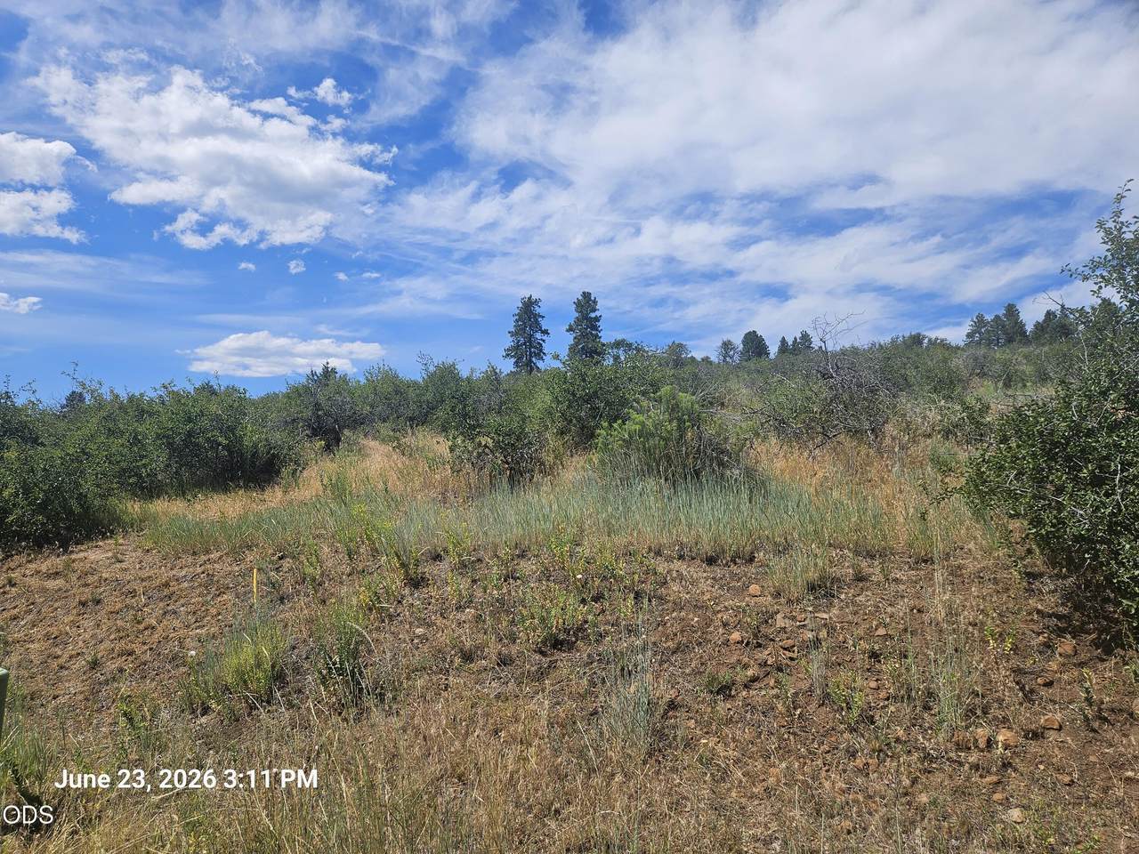 0 Crossbill Drive - Photo 1