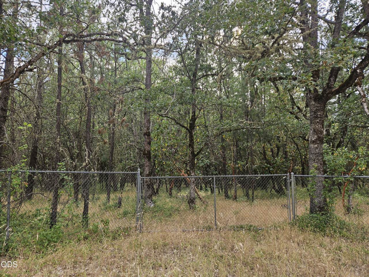  Galls Cr Road - Photo 1