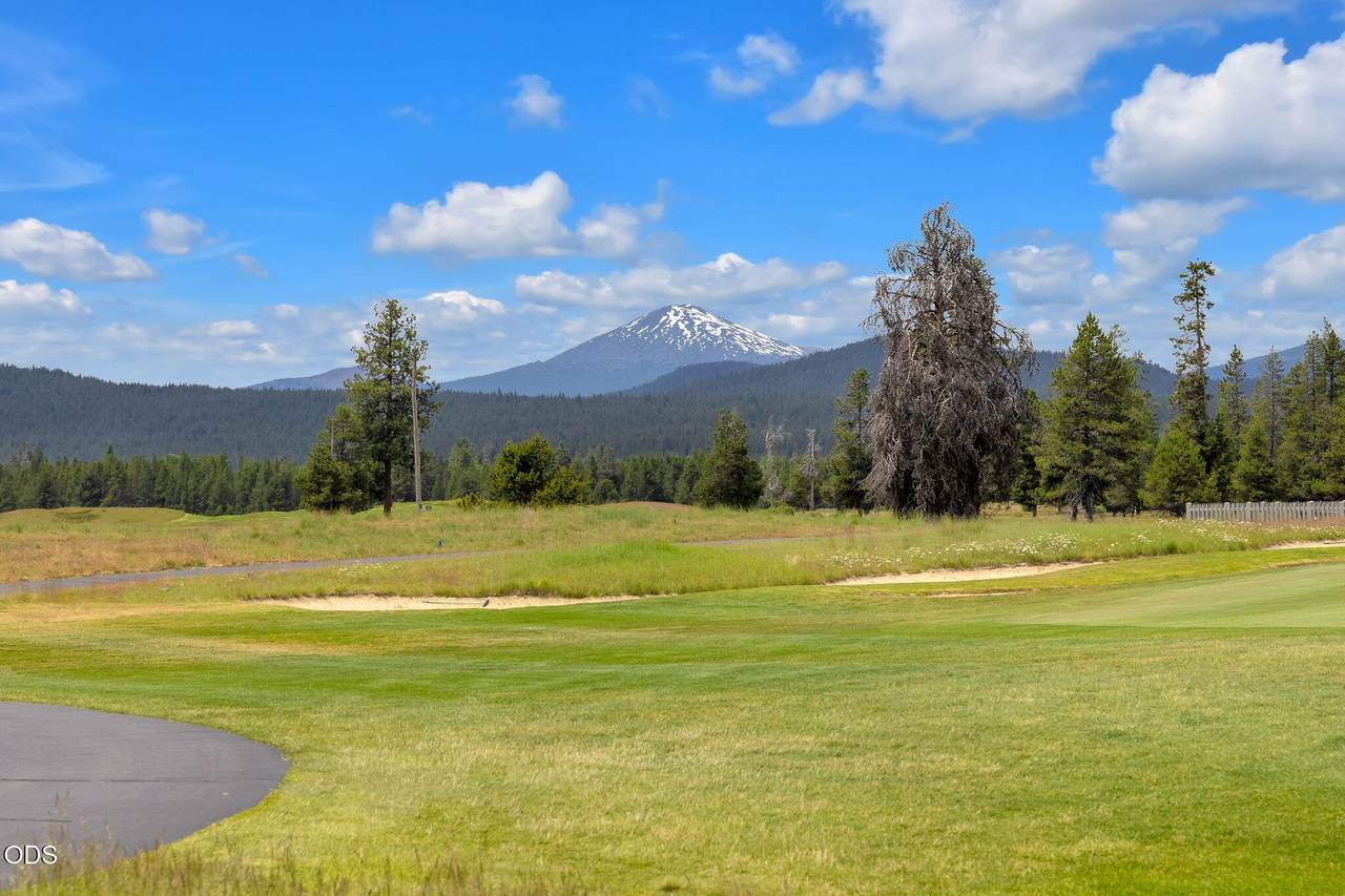 56575 Nest Pine Drive - Photo 1