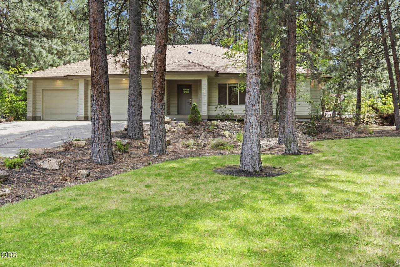 20387 Christmas Ridge - Photo 1