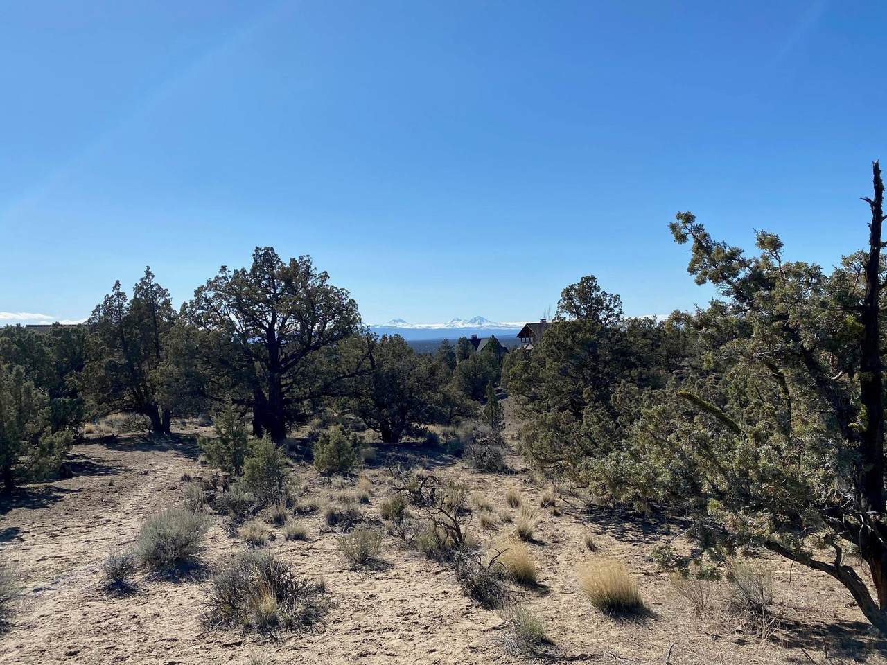  Vaqueros Way - Photo 1