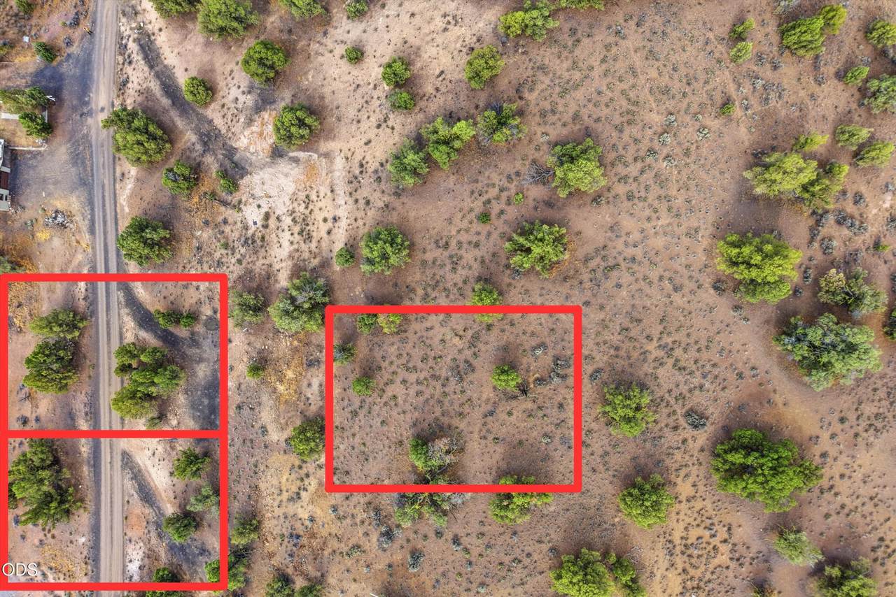 12293 Vista Loop - Photo 1