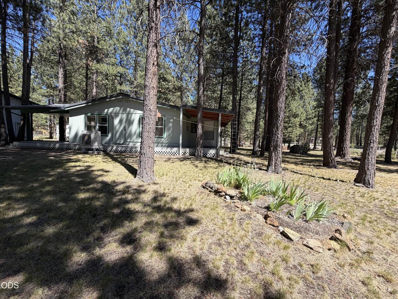 16160 Mountain Sheep Lane - Photo 1