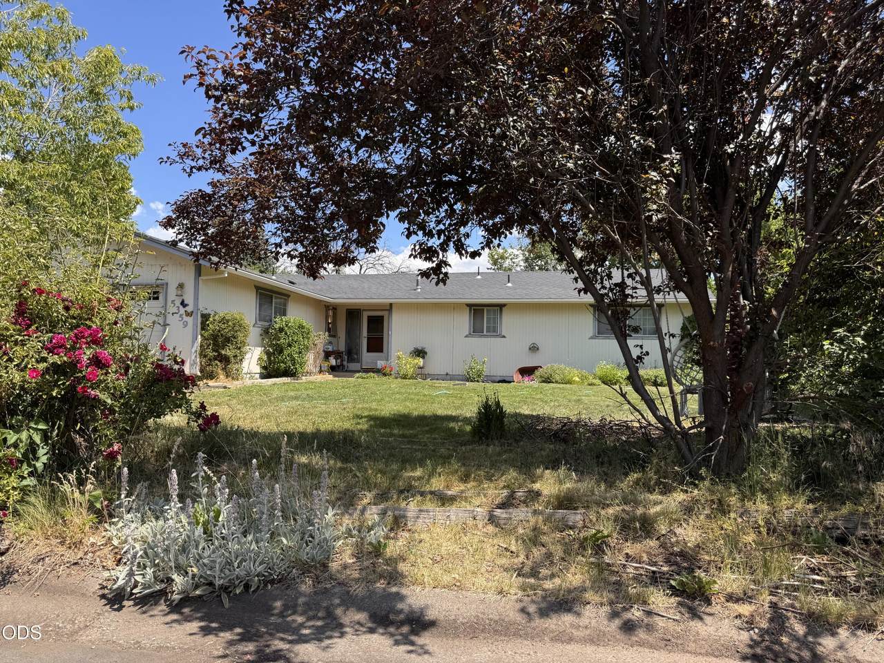 5359 Eastwood Drive - Photo 1