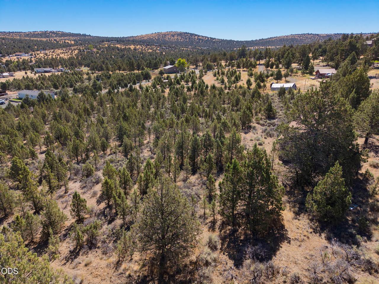14551 Winchester Loop - Photo 1