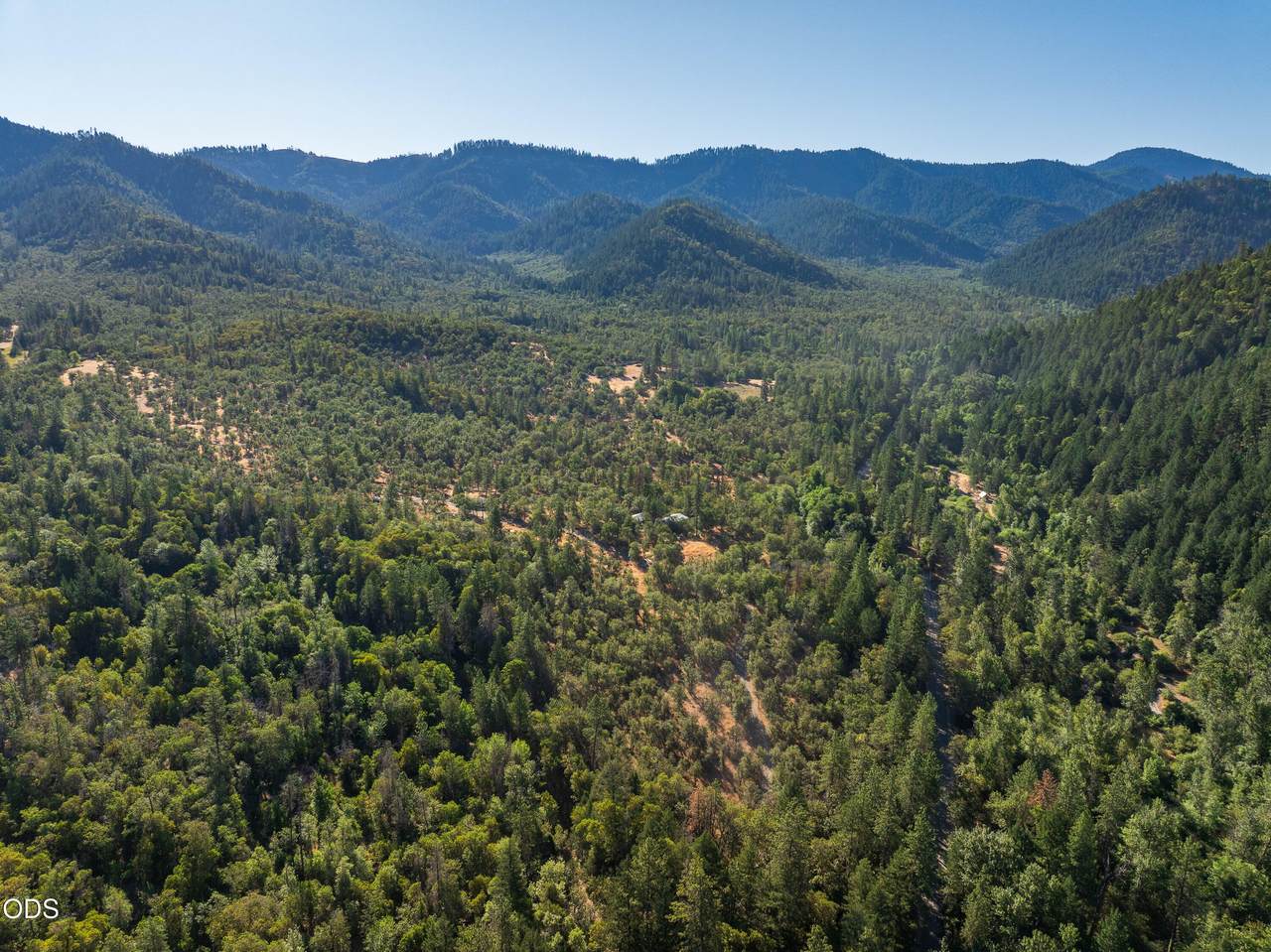 2659 Foots Creek L Fork Road - Photo 1