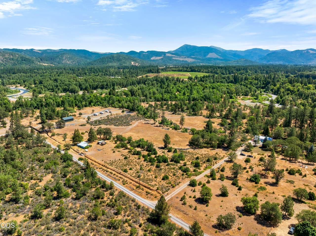 699 Pine Cone Drive - Photo 1