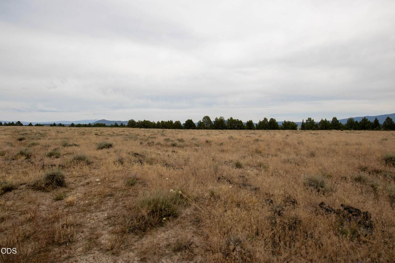  Rim Drive - Photo 1