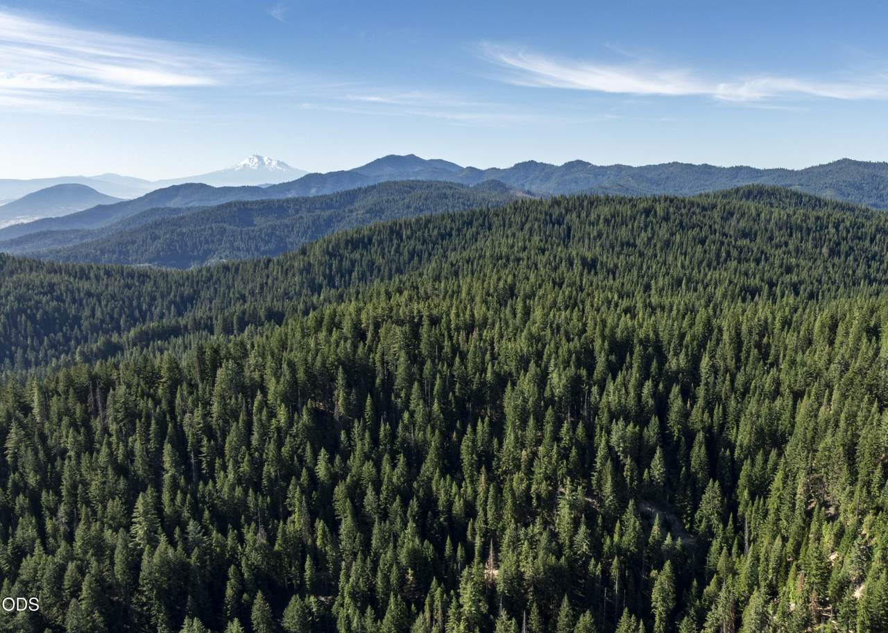 0 Hungry Ridge - Photo 1
