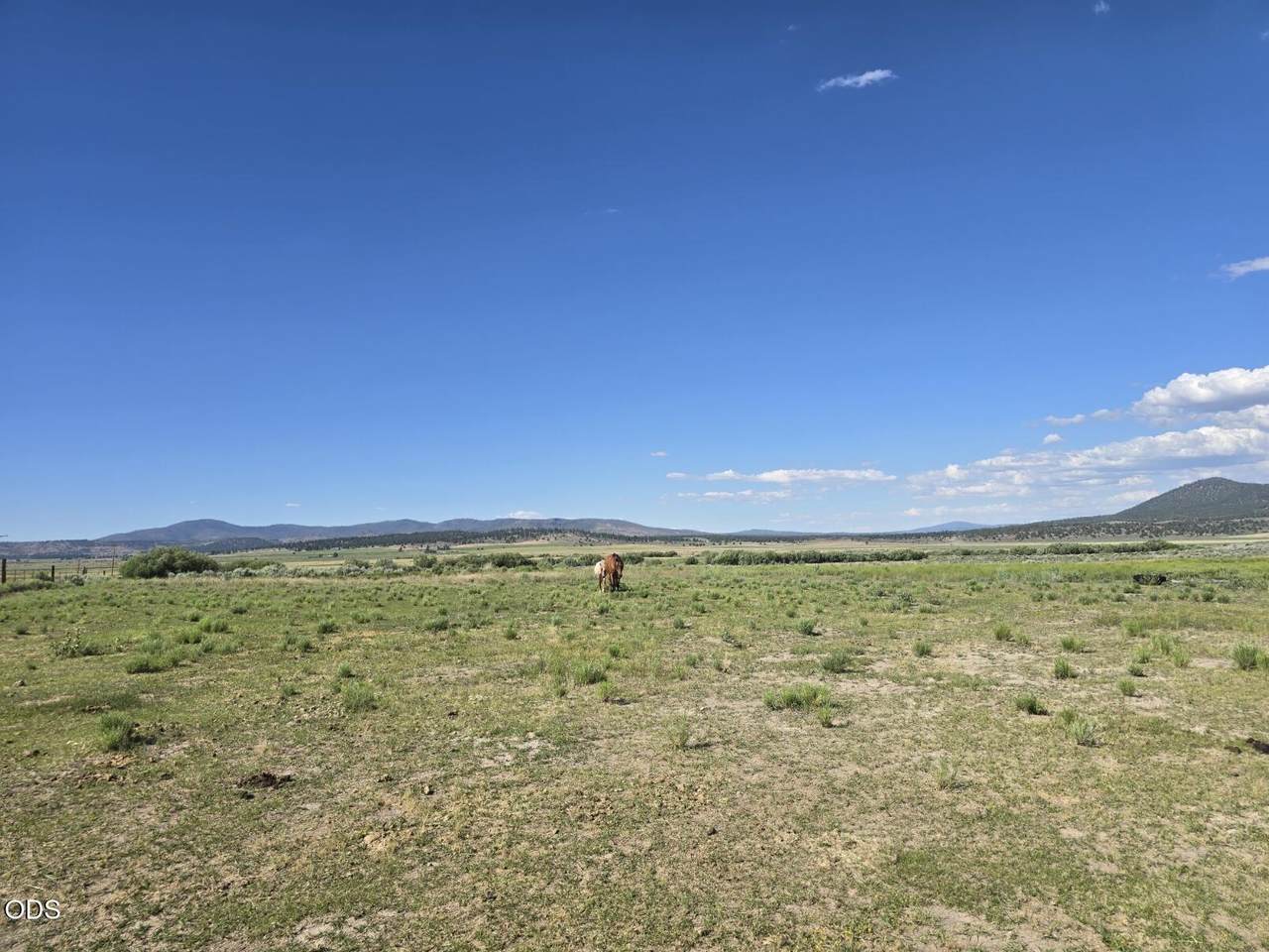 https://bt-photos.global.ssl.fastly.net/coar/1280_boomver_1_220225614-2.jpg