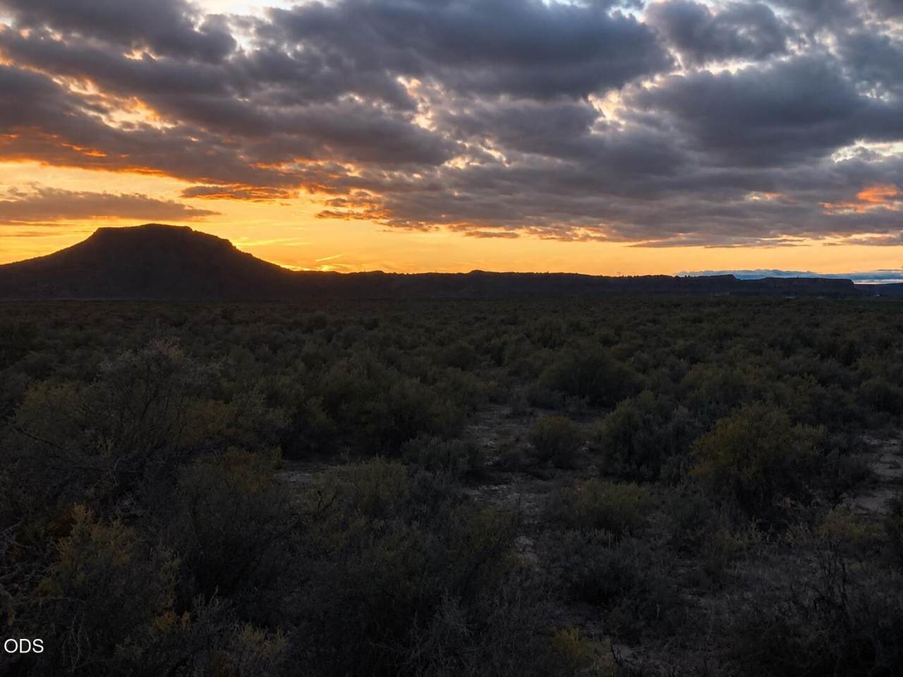 00400 Oil Dri Road - Photo 1