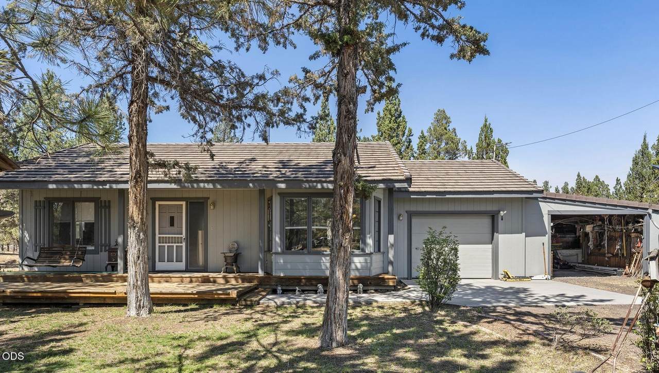16664 Pine Tree Lane - Photo 1