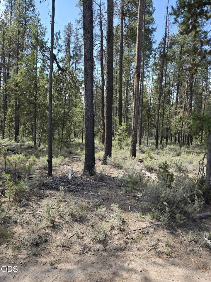 52650 Ranch Drive - Photo 1