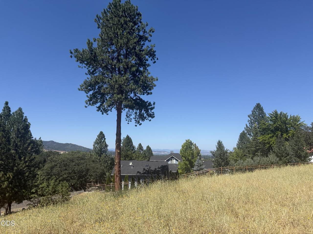 825 Royal Lane - Photo 1