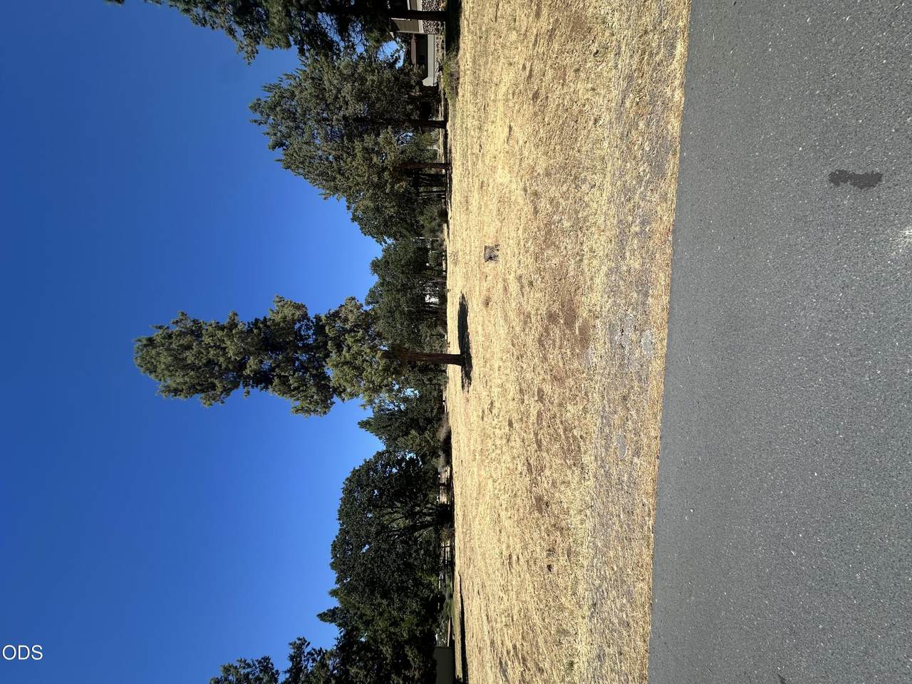 0 Sanderling Road - Photo 1