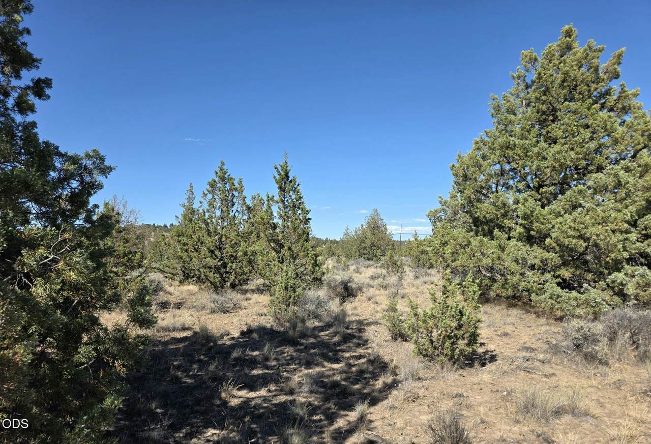  Cayuse Road - Photo 1