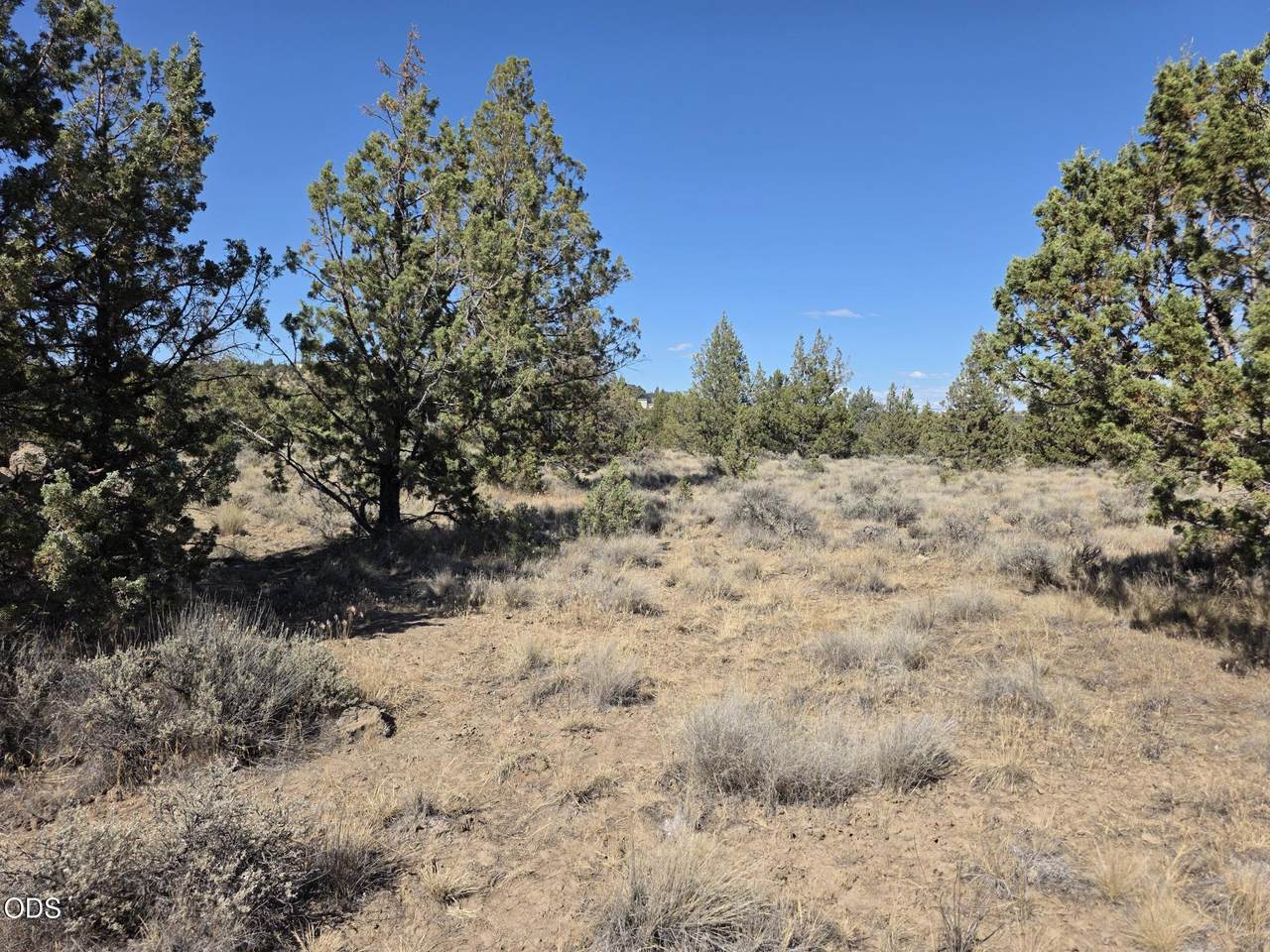  Cayuse Road - Photo 1