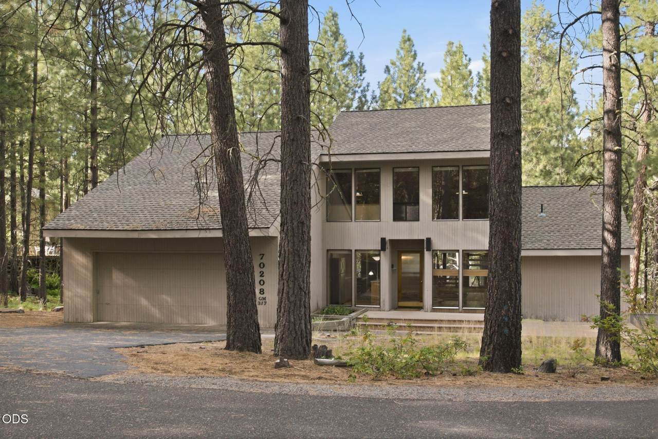 70208 Viola - Photo 1