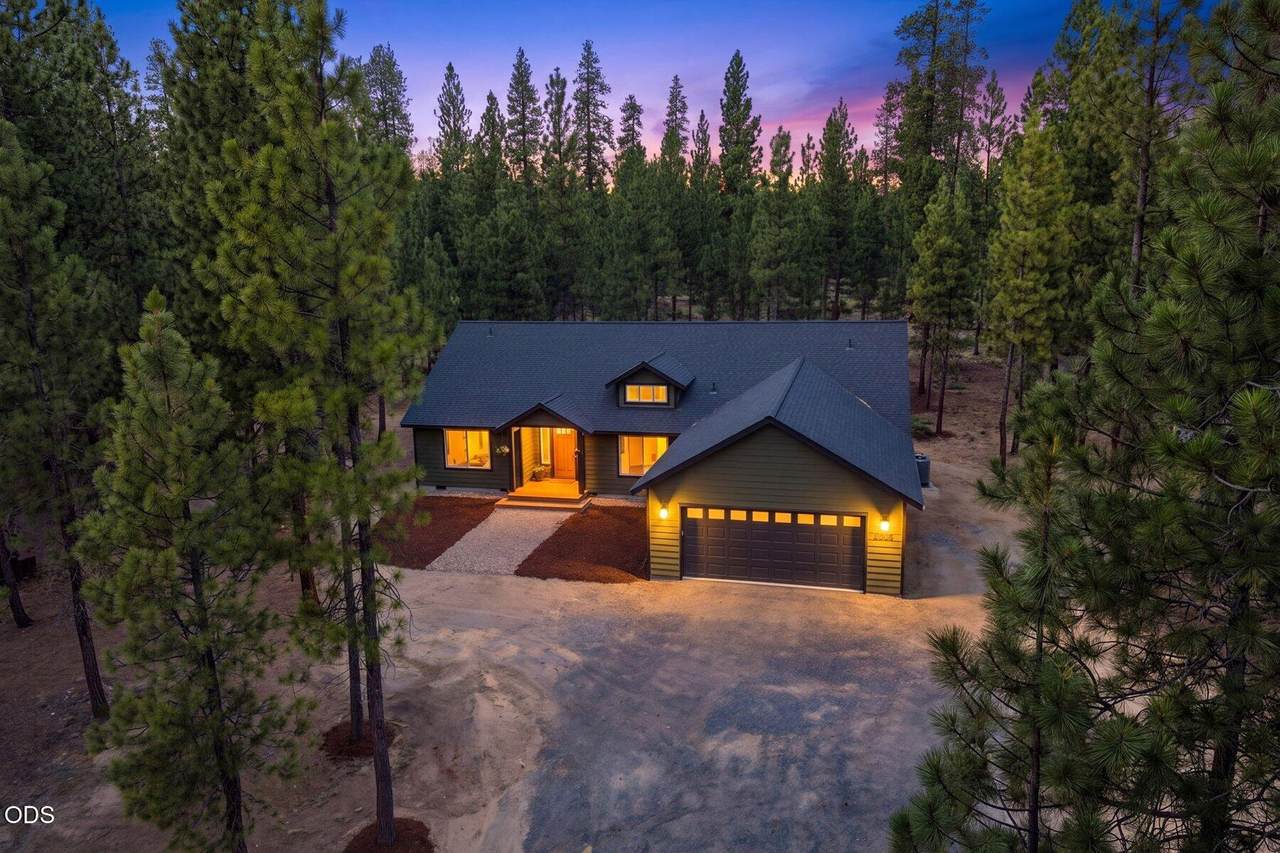52081 White Fir - Photo 1