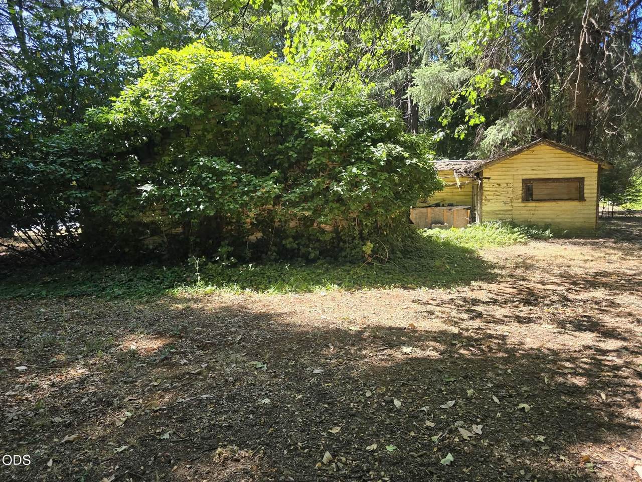 702 Caves Highway - Photo 1