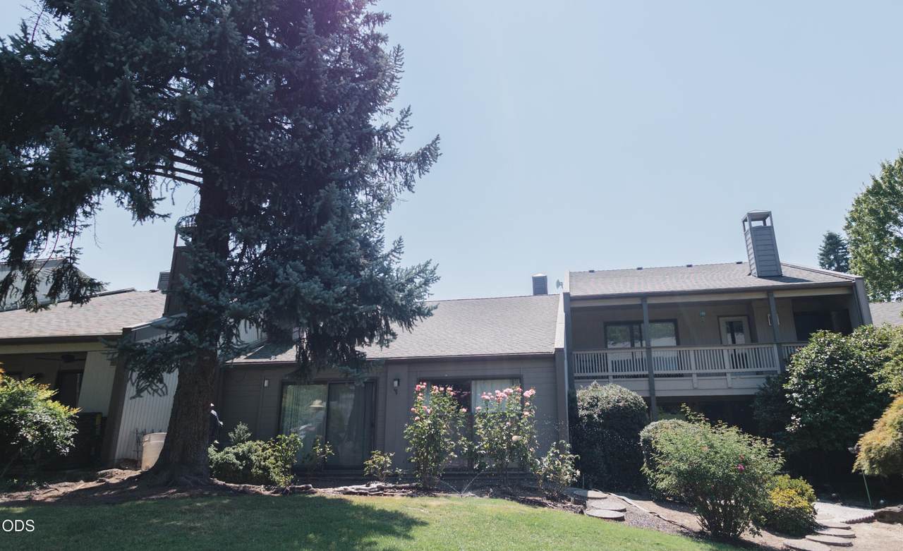 228 Mount Echo Drive - Photo 1