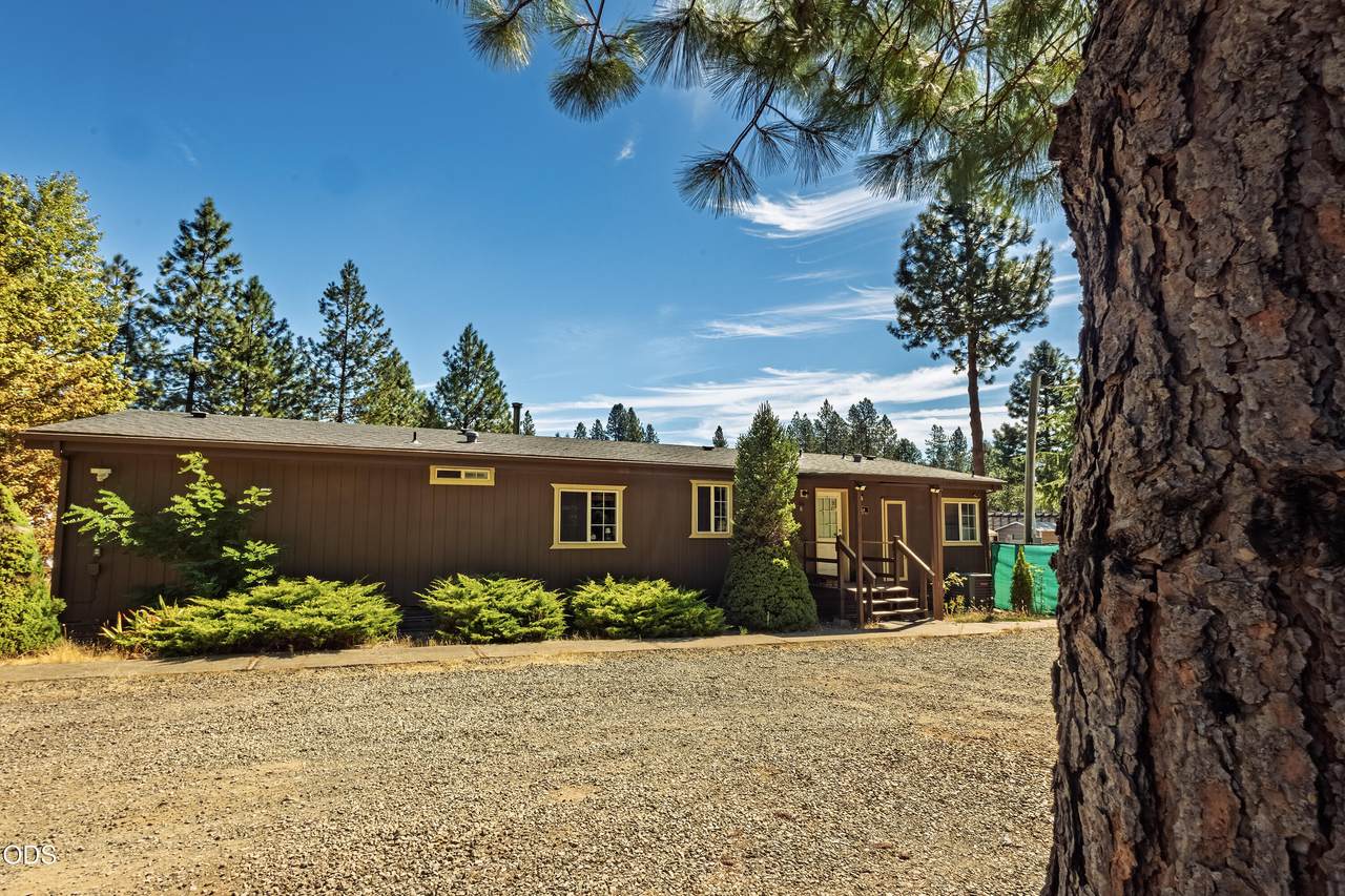 110 Pine Tree Way - Photo 1